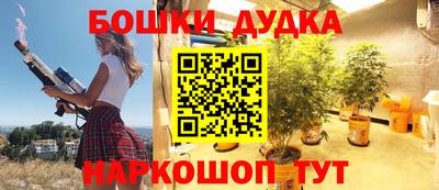 индика Краснознаменск