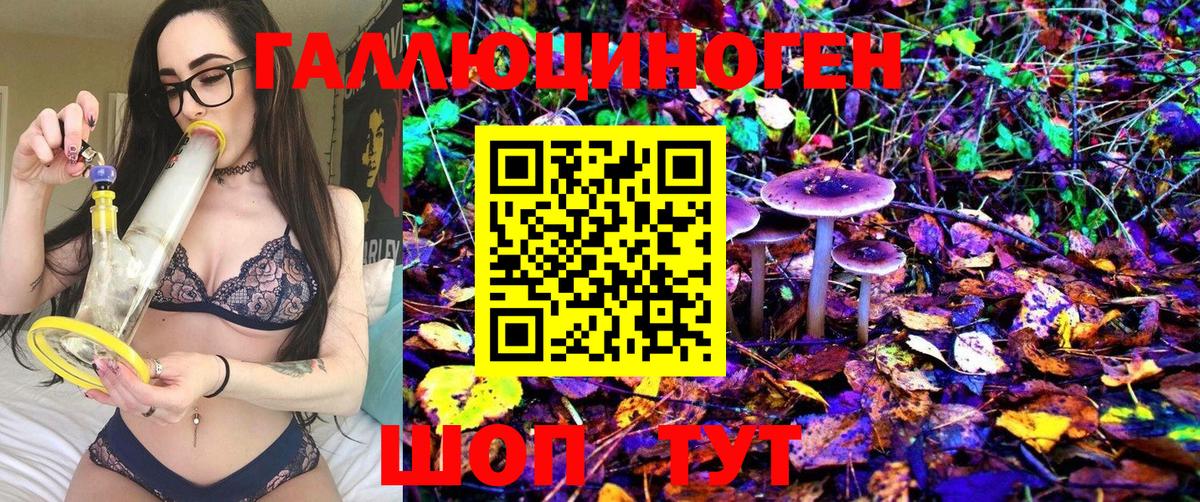 Керчь  Галлюциногенные грибы мицелий  Псилоцибиновые грибы MAGIC MUSHROOMS  Вход с VPN 